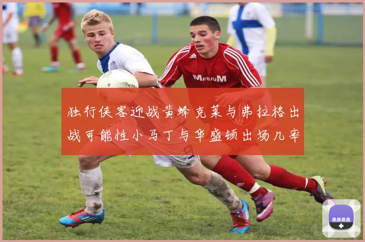 独行侠客迎战黄蜂克莱与弗拉格出战可能性小马丁与华盛顿出场几率高