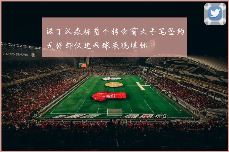 诺丁汉森林首个转会窗大手笔签约五将却仅进两球表现堪忧