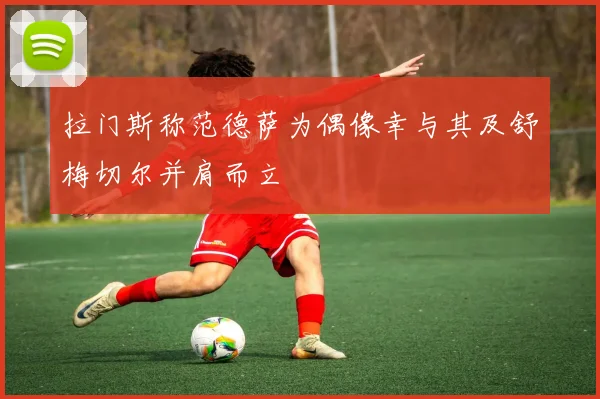 拉门斯称范德萨为偶像幸与其及舒梅切尔并肩而立
