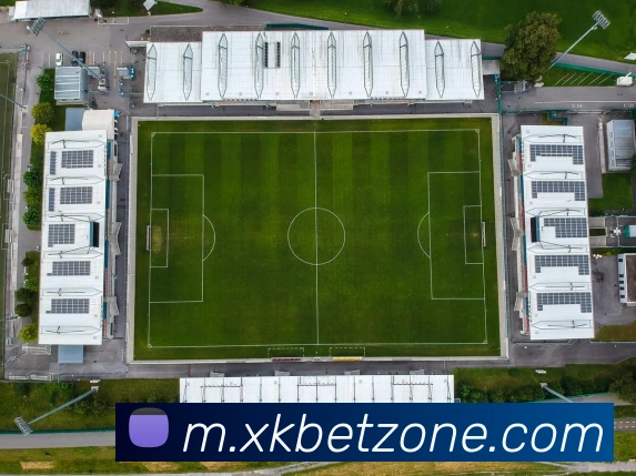 星空体育服务体系